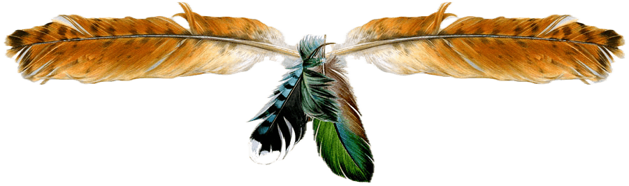 Anissa Lopvet - guérisseuse