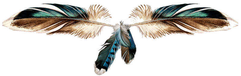 Anissa Lopvet - guérisseuse